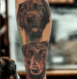 Realistic black and grey dog portrait tattoo with lifelike shading by Bullet’s Ink in Mt Airy, Maryland.