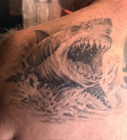 Realistic black and white shark tattoo with wave details.