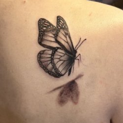 Black and gray butterfly tattoo with soft shadow by Robyn Hardman