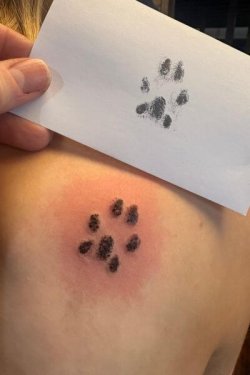 Paw print tattoo by Robyn Hardman at Bullet’s Ink in Mt. Airy, MD