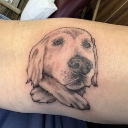 Realistic dog portrait tattoo by Robyn at Bullet’s Ink in Mt. Airy, MD